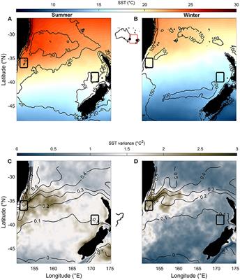 Why the Mixed Layer Depth Matters When Diagnosing Marine Heatwave Drivers Using a Heat Budget Approach